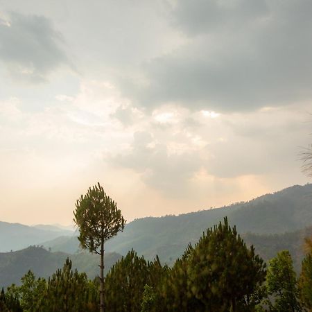 Blue Pine Orchards - Villas Lansdowne Buitenkant foto