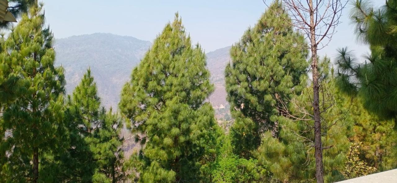 Blue Pine Orchards - Villas Lansdowne Buitenkant foto