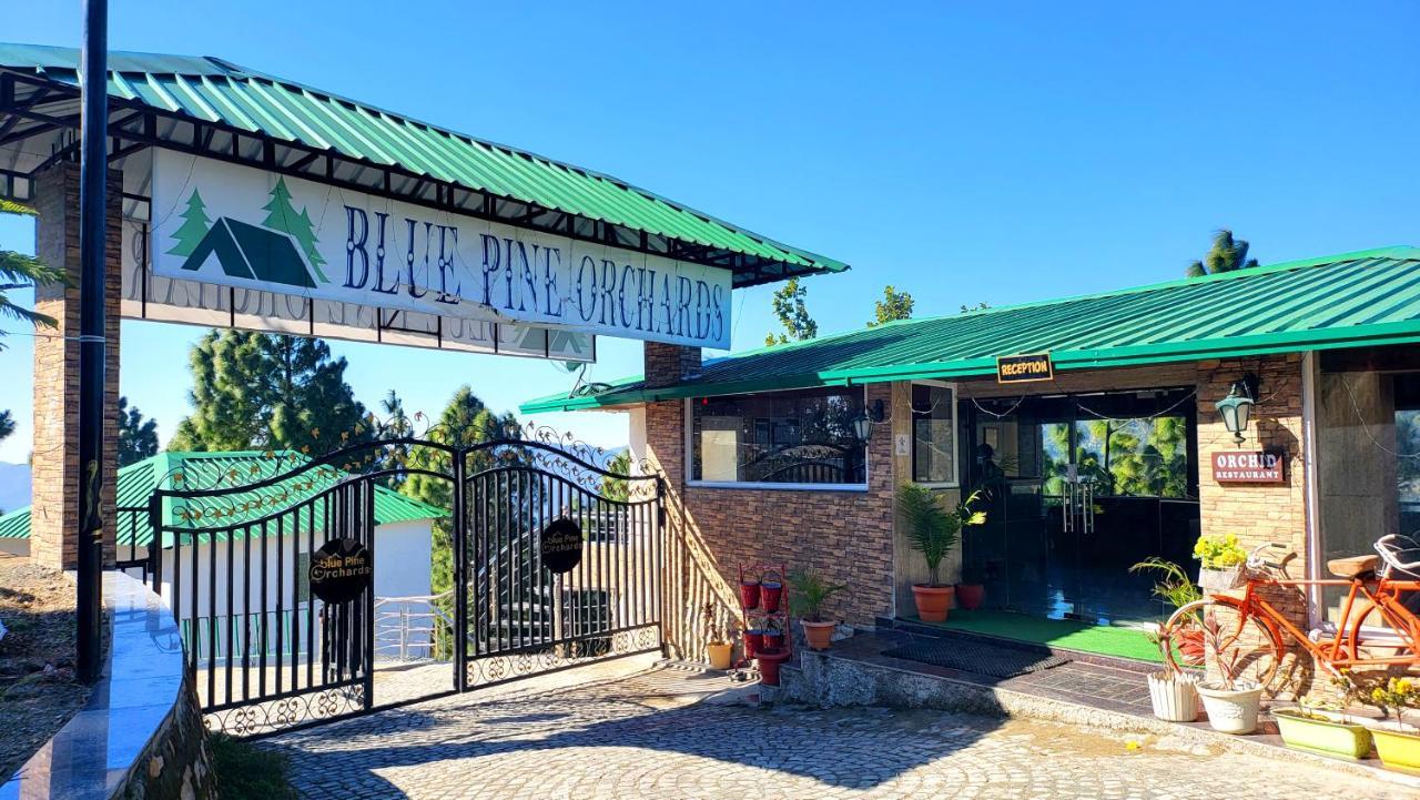 Blue Pine Orchards - Villas Lansdowne Buitenkant foto